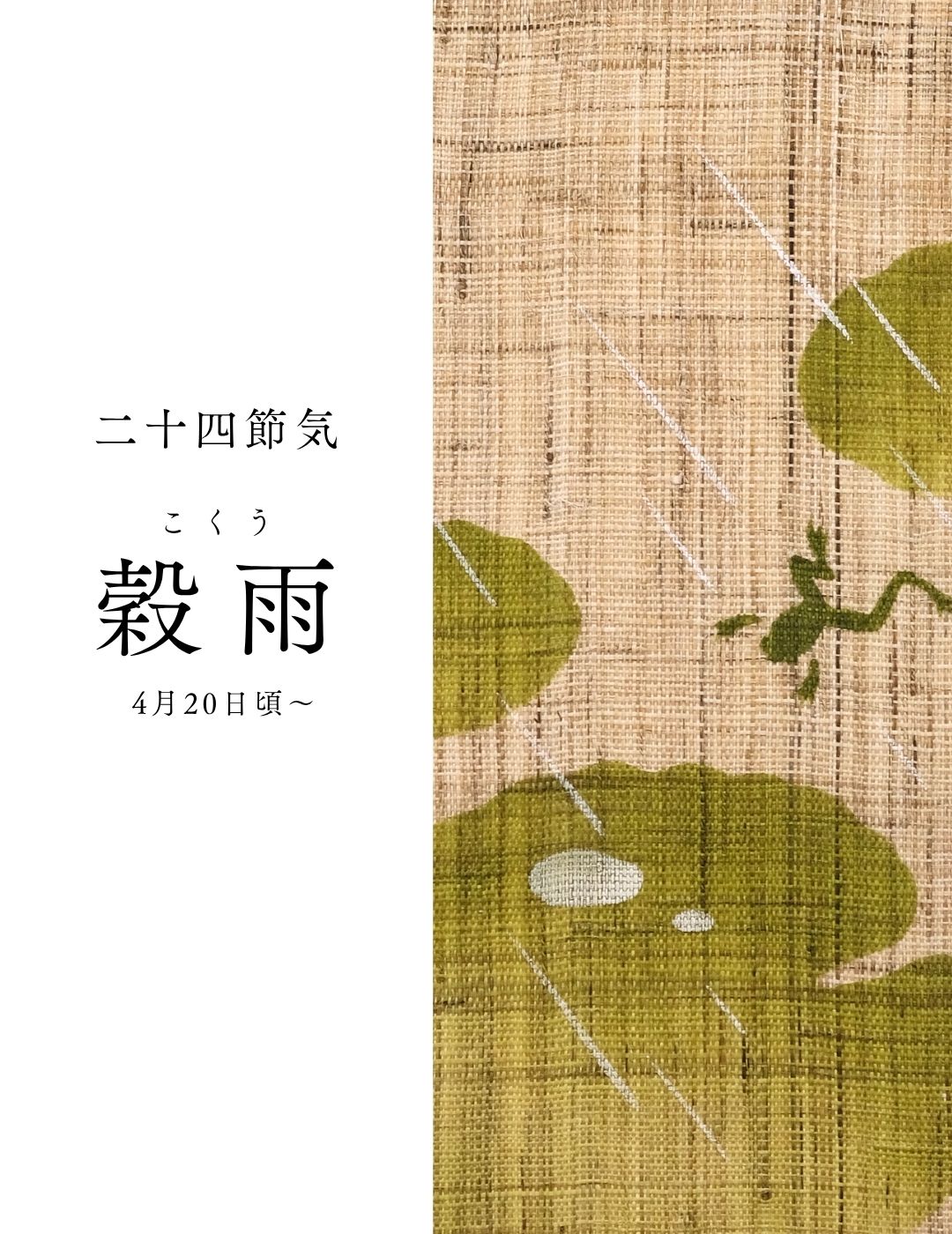 京都洛柿庵オンラインショップ]