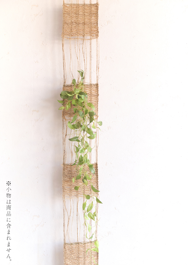 細タペ「苧麻 -ちょま-」